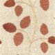 Sycamore: Nutmeg