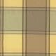 Jabiru Plaid: Citrus