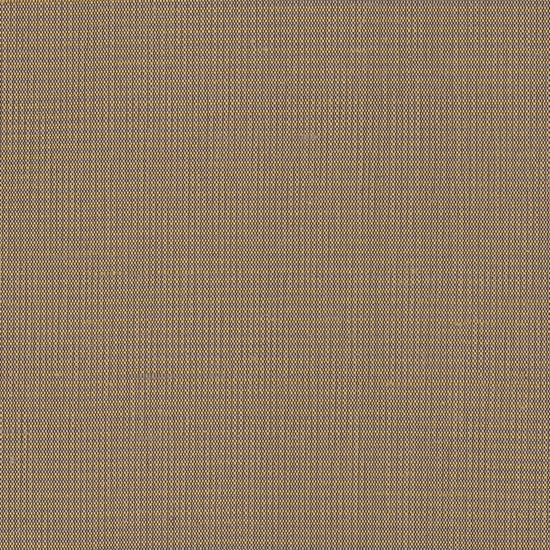 Dynasty: Khaki