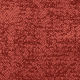 Jodi: 339