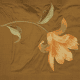 Madonna Lily - Bayleaf