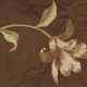 Madonna Lily - Mink