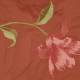 Madonna Lily - Rouge