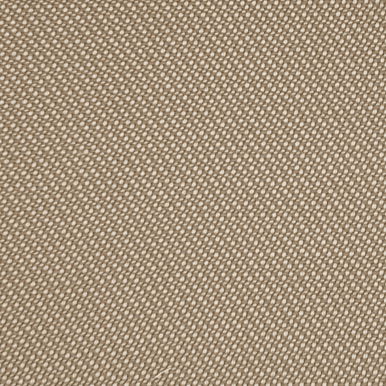 Dole - Beige