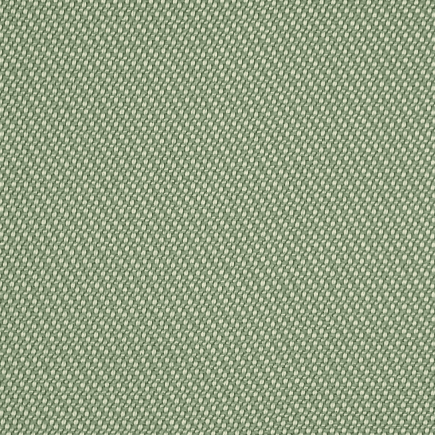 Dole - Fern